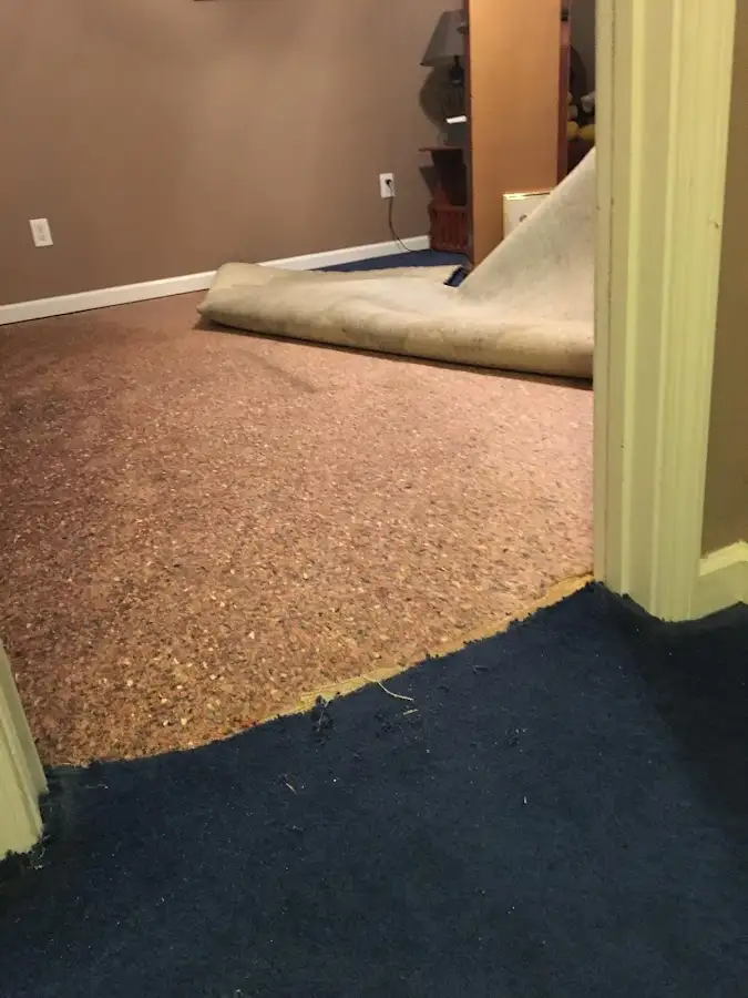 Carpet pad removal revealing water damage during Drying & Dehumidification in Monument