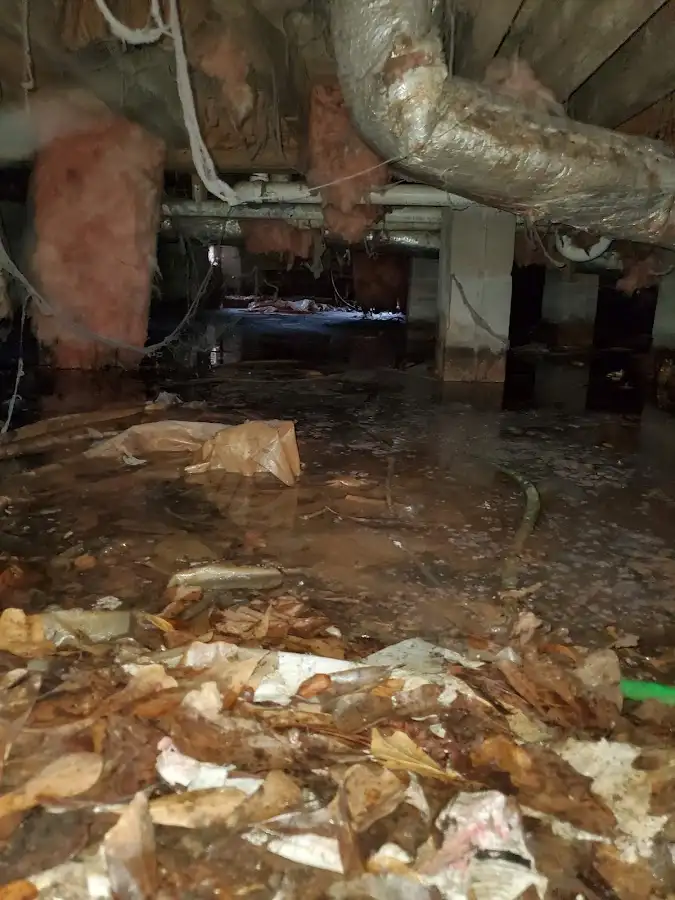 Crawl space flood assessment for Leak Detection & Repair in Monument