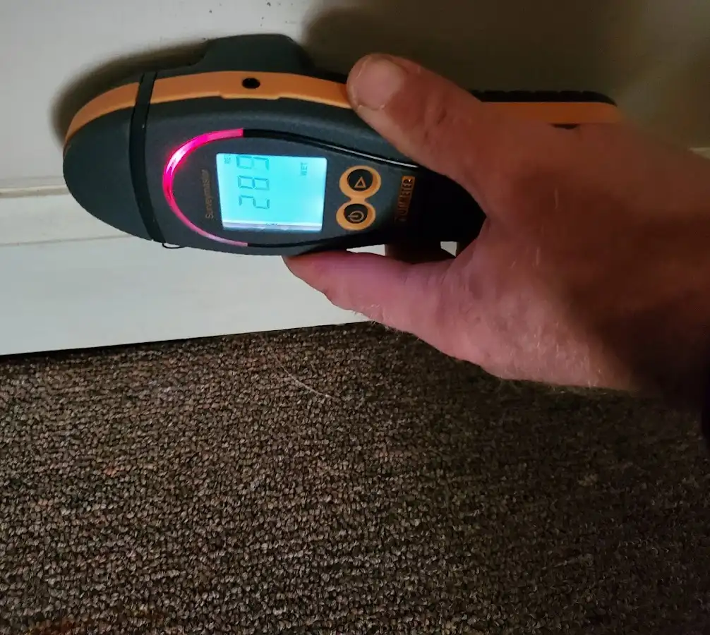 Moisture detection at baseboard during Burst Pipe Cleanup in Monument